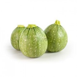 Girit Kabağı, Antalya (500 gr)